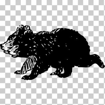 SVG black bear cubs SVG black bear cubs