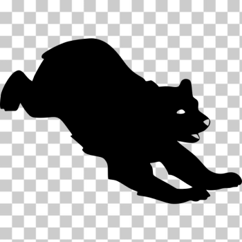 SVG Black bear silhouette SVG Black bear silhouette