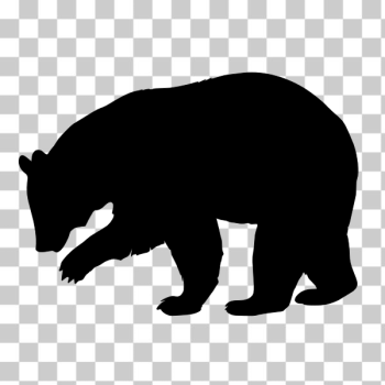 SVG Black bear vector silhouette SVG Black bear vector silhouette
