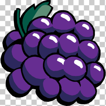 SVG Black grapes vector clip art SVG Black grapes vector clip art