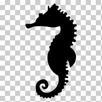 SVG Black seahorse SVG Black seahorse