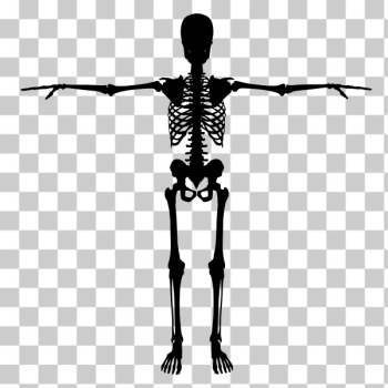 SVG Black skeleton SVG Black skeleton