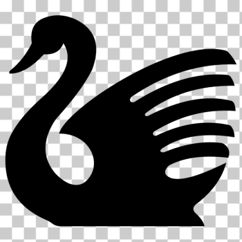 SVG Black swan SVG Black swan