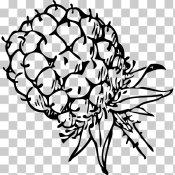 SVG Blackberry fruit clip art SVG Blackberry fruit clip art