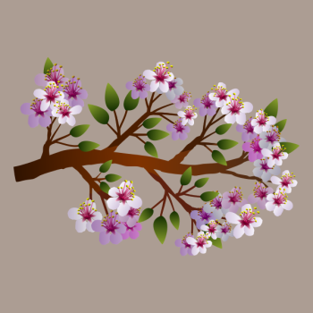 SVG Blooming spring flowers SVG Blooming spring flowers