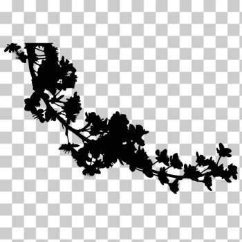 SVG Blossoms silhouette SVG Blossoms silhouette
