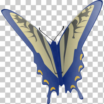 SVG Blue butterfly SVG Blue butterfly