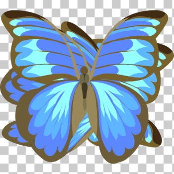 SVG Blue butterfly drawing SVG Blue butterfly drawing