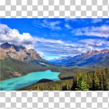 SVG Blue lake in evergreen forest SVG Blue lake in evergreen forest