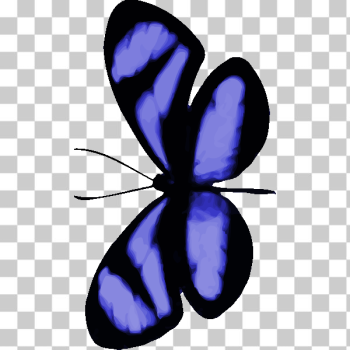 SVG Bluish butterfly SVG Bluish butterfly