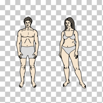SVG Body Parts Chart SVG Body Parts Chart
