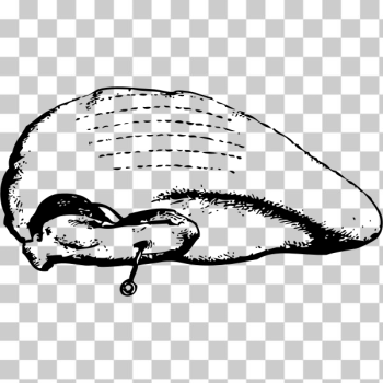 SVG Boiled turkey vector image SVG Boiled turkey vector image