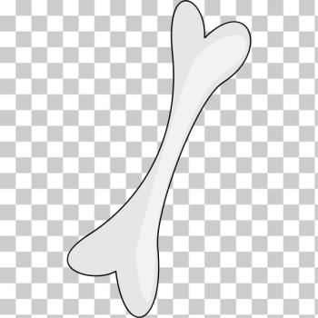 SVG Bone