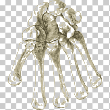 SVG Bones in hand SVG Bones in hand