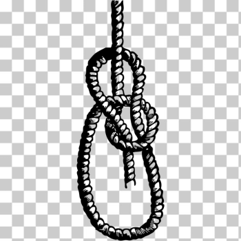 SVG Bowline knot vector image SVG Bowline knot vector image