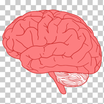 SVG Brain profile SVG Brain profile