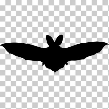 SVG Brown long eared bat silhouette SVG Brown long eared bat silhouette
