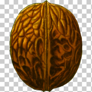 SVG Brown nut SVG Brown nut