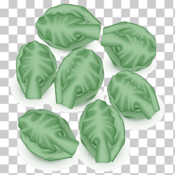 SVG Brussel sprouts vector image SVG Brussel sprouts vector image