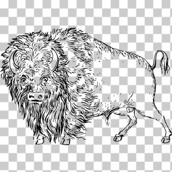 SVG Buffalo 2 SVG Buffalo 2