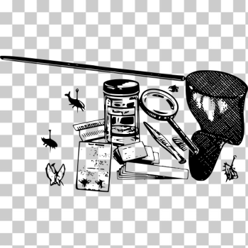 SVG Bug collection kit SVG Bug collection kit