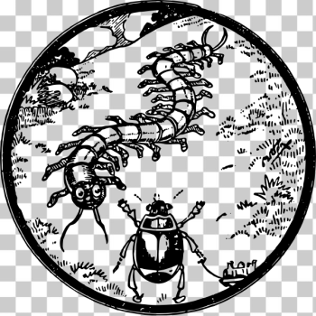 SVG Bug friends SVG Bug friends