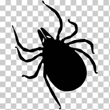 SVG Bug silhouette SVG Bug silhouette