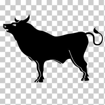 SVG Bull silhouette graphics SVG Bull silhouette graphics