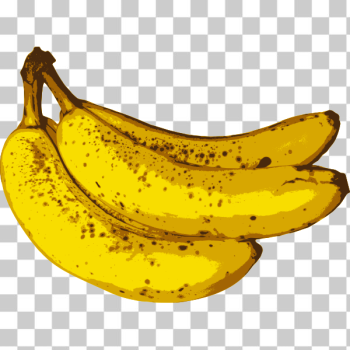 SVG Bunch of bananas-1574071346 SVG Bunch of bananas-1574071346