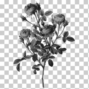 SVG Bunch of flowers SVG Bunch of flowers