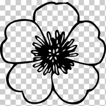 SVG Buttercup flower vector clip art SVG Buttercup flower vector clip art