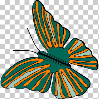 SVG butterfly SVG butterfly