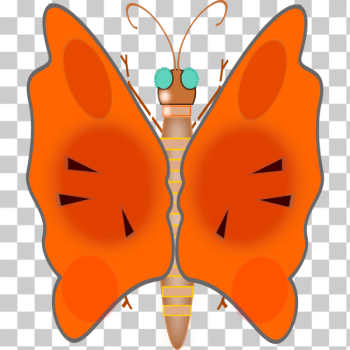 SVG butterfly SVG butterfly