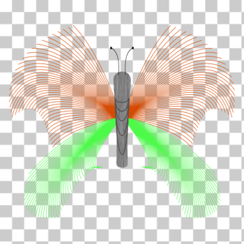 SVG Butterfly SVG Butterfly