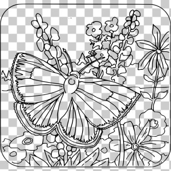 SVG Butterfly in nature