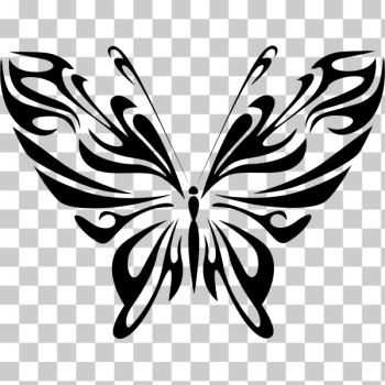 SVG Butterfly line art SVG Butterfly line art
