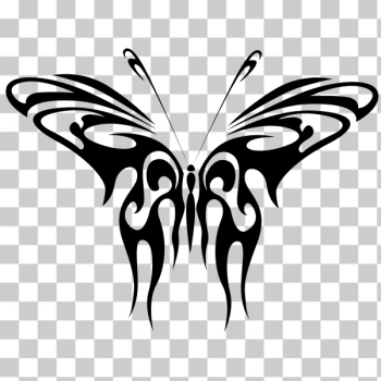 SVG Butterfly line art vector drawing SVG Butterfly line art vector drawing