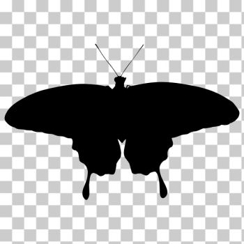 SVG Butterfly Silhouette Graphics SVG Butterfly Silhouette Graphics