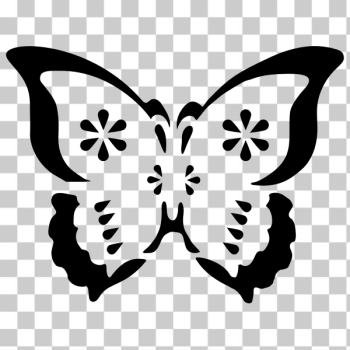 SVG Butterfly stencil SVG Butterfly stencil