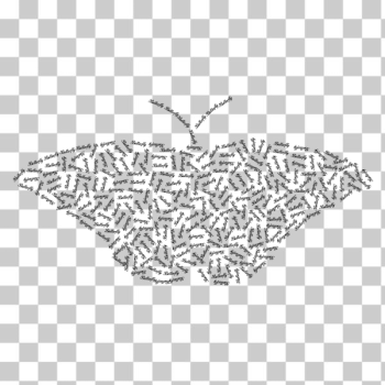 SVG Butterfly typography SVG Butterfly typography