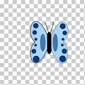 SVG Butterfly vector drawing SVG Butterfly vector drawing