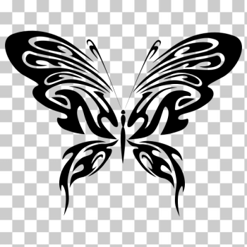 SVG Butterfly vector silhouette SVG Butterfly vector silhouette