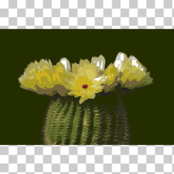 SVG Cactus flower 02 SVG Cactus flower 02