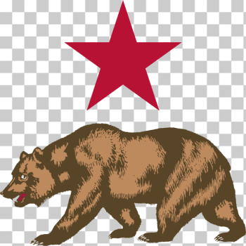 SVG California star and bear SVG California star and bear