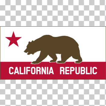 SVG Californian Republic banner vector illustration SVG Californian Republic banner vector illustration