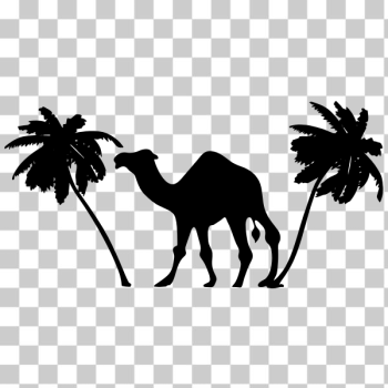 SVG Camel and palm trees SVG Camel and palm trees