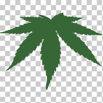 SVG Cannabis leaf color vector image SVG Cannabis leaf color vector image