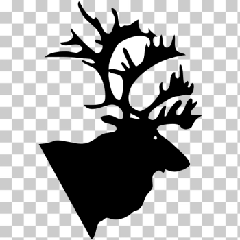 SVG Caribou image SVG Caribou image