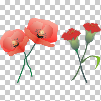 SVG Carnations SVG Carnations
