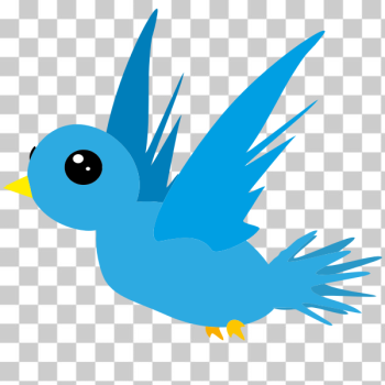 SVG Cartoon bird illustration SVG Cartoon bird illustration